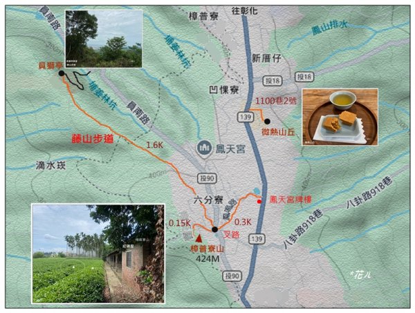 樟普寮山、藤山步道、微熱山丘3107210