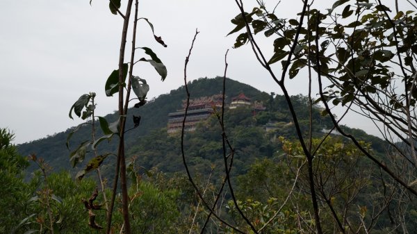 內湖大溝溪 圓覺瀑布 白石吊橋 鯉魚山882839