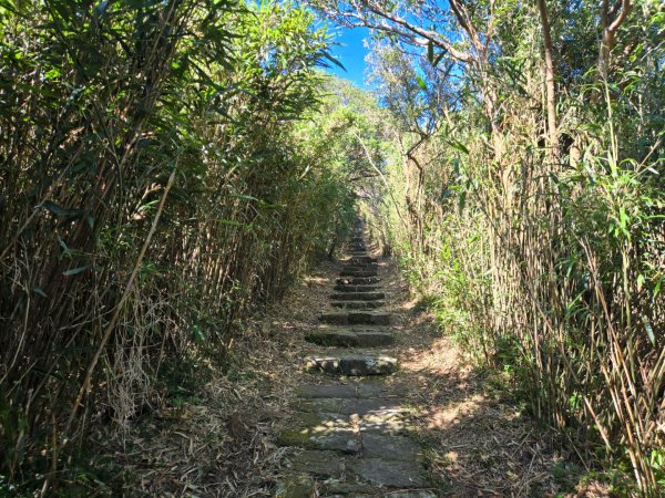 大屯主峰-連峰步道環形（小百岳）2904317