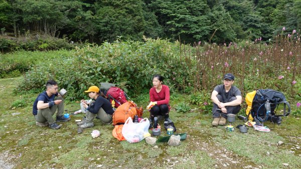 雙龍林道上巒安堂西巒大山1778651