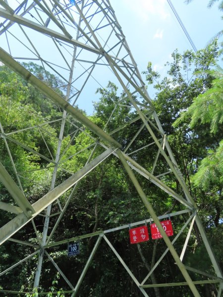 德芙蘭生態步道O形2829482