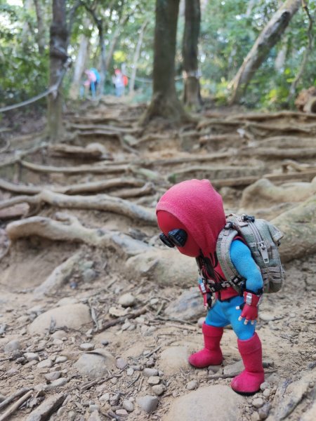 2024.01.02 飛鳳山2832141