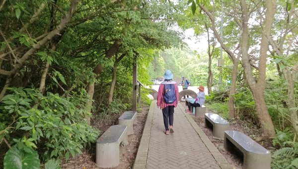 (姨婆趴趴走)第五十五集:攀登健走台北大崙頭尾山親山步道環狀一圈2853777