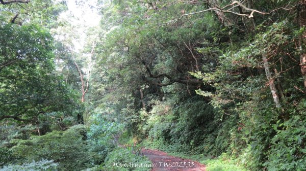 《苗栗》關刀出關｜三義關刀山出關古道(聖關段-苗56)202509052878820