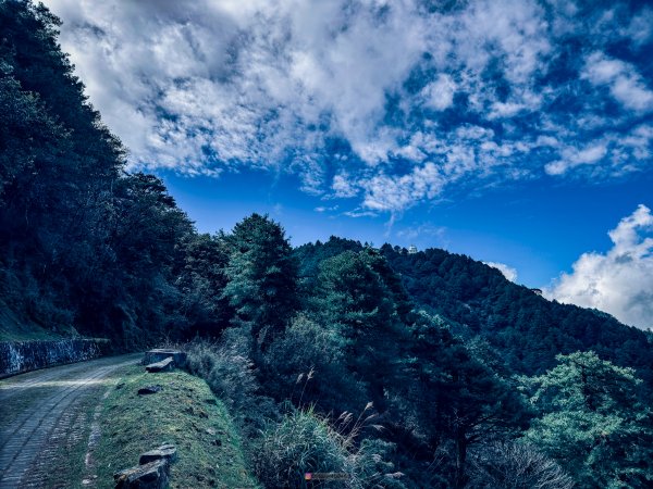 塔塔加五峰2761057