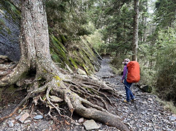 玉山主峰 2025/09/26~272915396