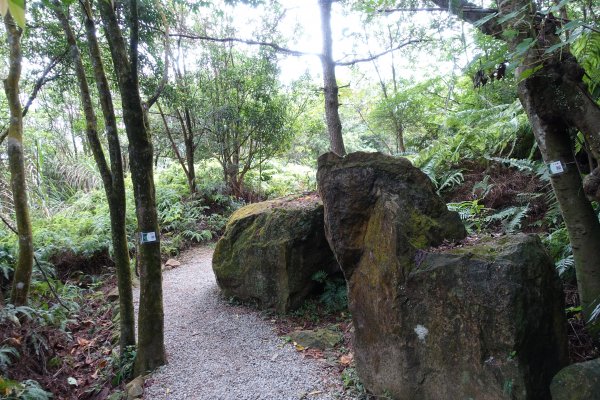 翠山步道．碧溪步道1078538