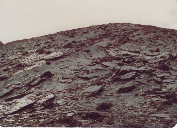 南湖群峰及中央尖山(民國72年)716222