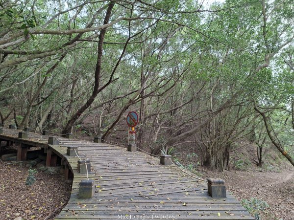 《台中》綠色隧道｜大肚環保公園登山步道O繞202604183038494
