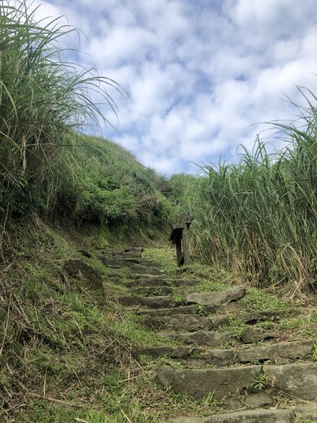 走遍陽明山-魚路古道2171263