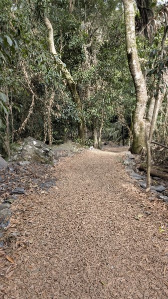 雪山坑環線3021053