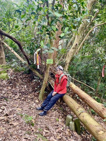 坐公車接駁的神仙縱走2707458