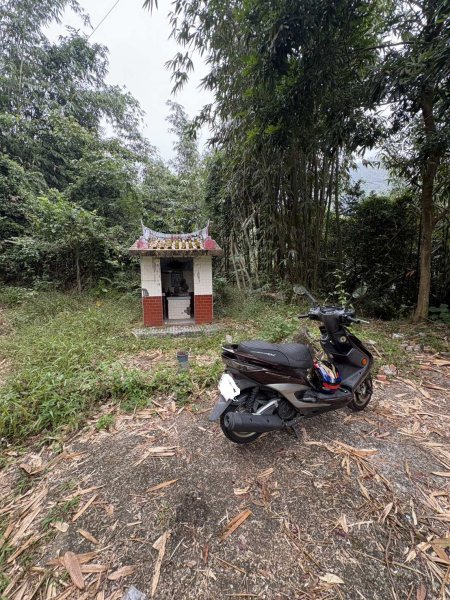 20251108西阿里關山步道(小林村東側登山口啟登)2933477