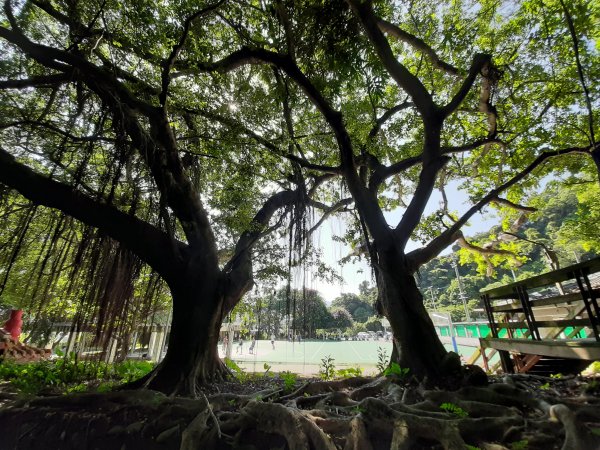 小百岳 No.19鳶山 6.基隆山1122550