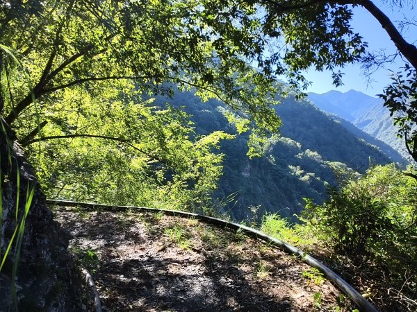 [玉山尋寶任務-07/12] 2025_0824 八通關雲龍瀑布步道2870640