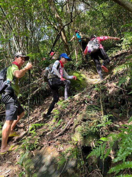 東勢大崙、東勢坑山、觀音湖山O走2986385