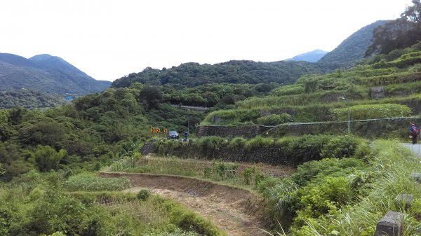 半嶺步道→陽峰古道→陽明公園→前山公園1028462