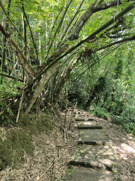 20251010微笑山線：【五分山系】菁桐煤礦段2910194