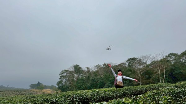 20260127三通嶺山.三義山(大桁茂山).慈濟山.大坪山大O走2990018