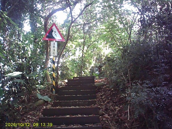 石岡區挑物古道+九房里古道O繞3133651