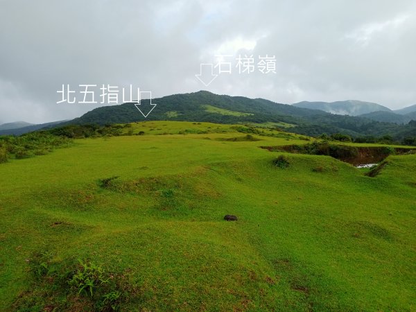 士林區荷蘭古道+高頂山+北五指山+內雙溪古道+登峰圳O型