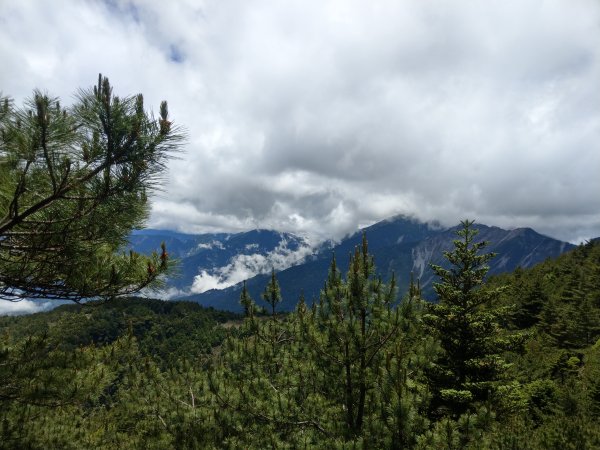 高雄/花蓮/台東-嘉明湖-向陽山-三叉山3053718