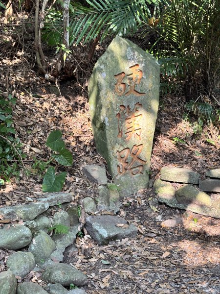 觀音山硬漢嶺 22899079