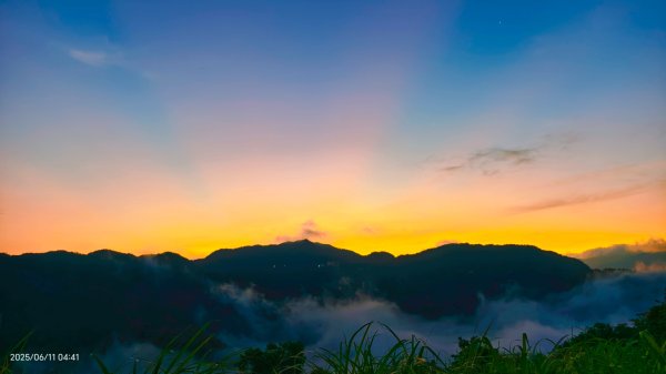 跟著雲海達人山友追雲趣 #草莓月亮 #月圓雲海 #霞光 #日出雲海 #茶園 6/112808822