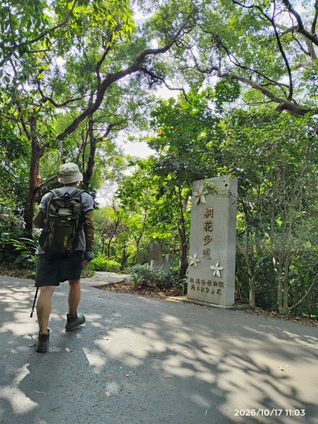 小百岳集起來十八尖山步道2026101711583136056