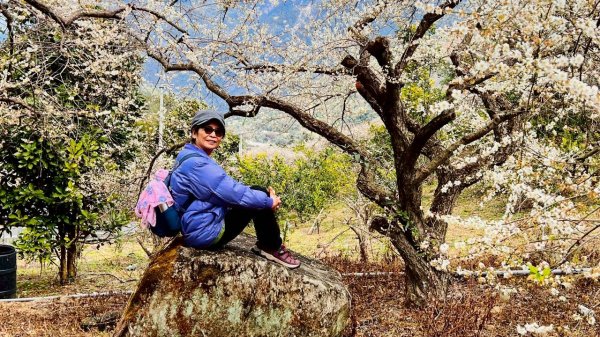 🌈1/17（六）蔡家古厝賞梅×梅子夢工廠×車埕老街✨FB：熊熊趴爬走🌈2983944