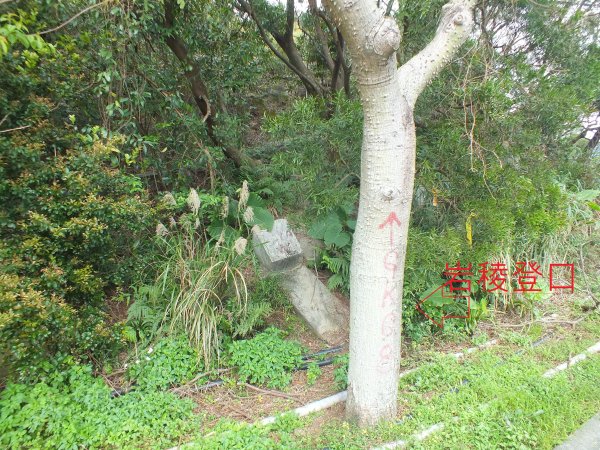 汐止區彩虹橋岩稜+柯子林山+金明山+如意湖O型2776141