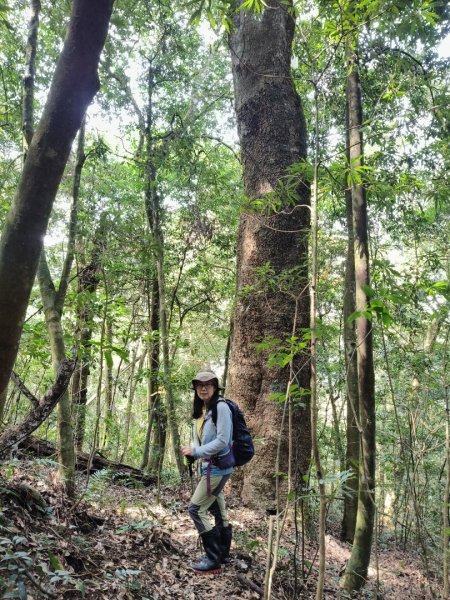 向天湖三山+ 南大龜山3012323