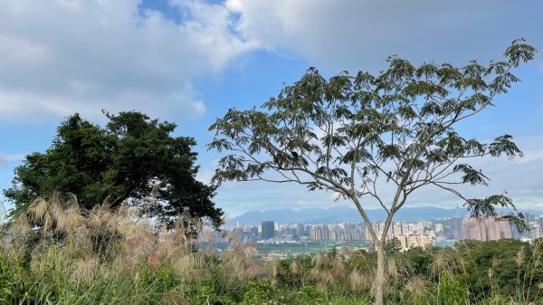 新店和美山三潭縱走中和三山-南勢角天上山-日月洞2951342