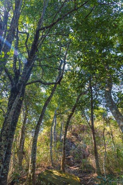 谷關七雄_唐麻丹山3015619