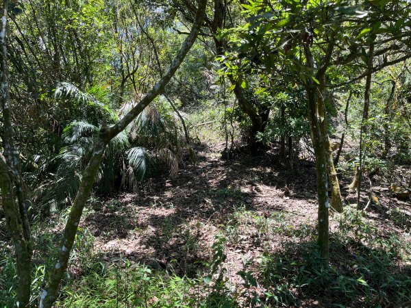 戶亞宇山基點峰-戶亞宇山主峰 2025.6.152815048