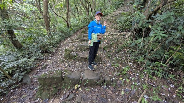 115.05.01天上山-桐花公園之旅3052123