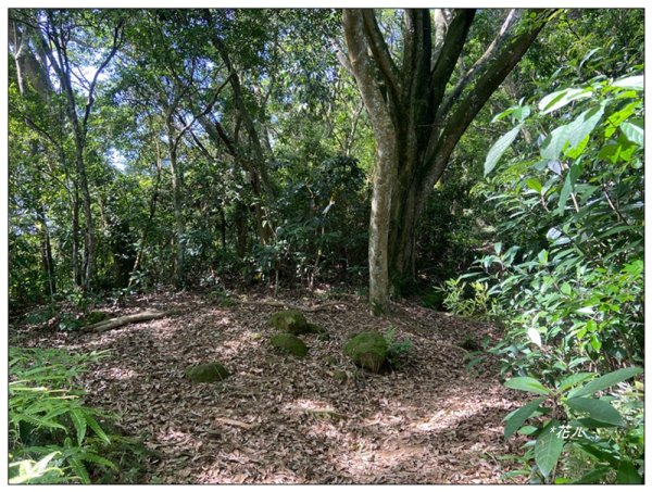 赤柯山、赤柯山南峰、東獅頭山 O型路線2785421