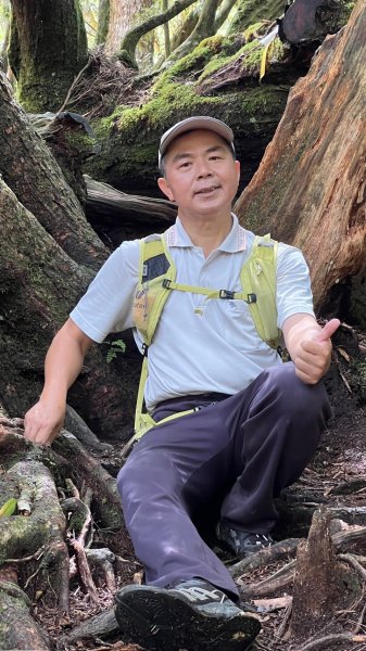 拉拉山巨木步道-塔曼山步道_202407022569707