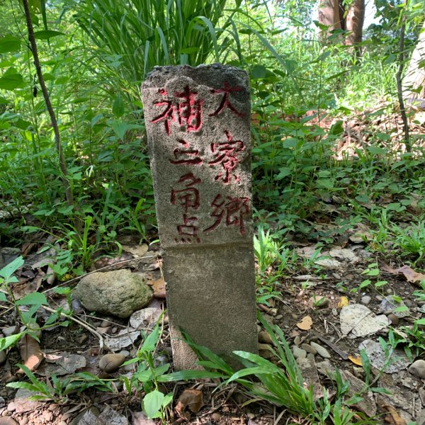 20250628高雄望雲山-尚書林山2826289