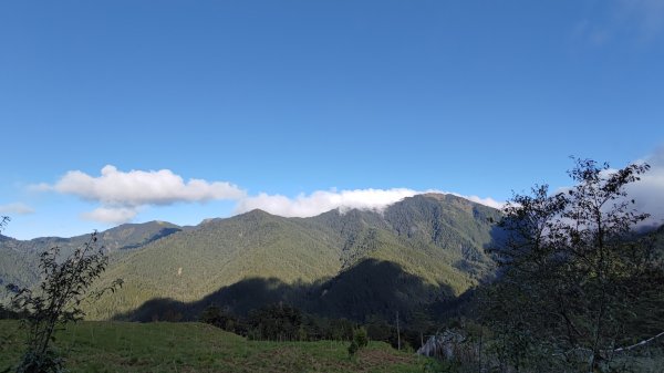 武法奈尾山1946745