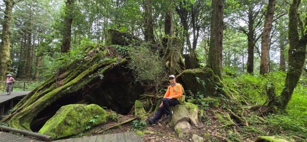 阿里山水山療癒步道_202407062569756