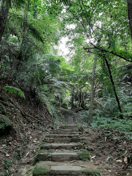 【跟著寶寶漫步參山】獅頭山五連走1136045