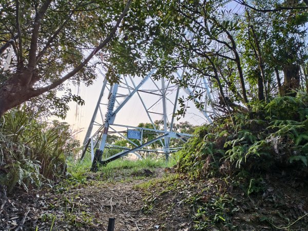 [百山百鳥尋旅-13/15] 2025_0929 圓覺寺步道2900794