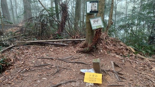 【南投魚池】中部四大名山之山高路遠。 水社大山登山步道2037920