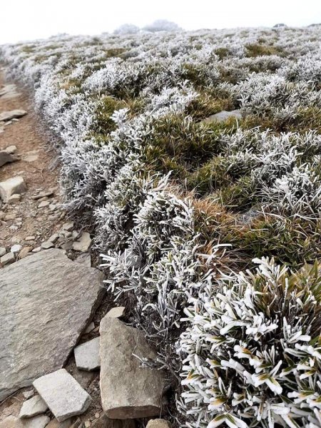 冰霜嘉明湖876718