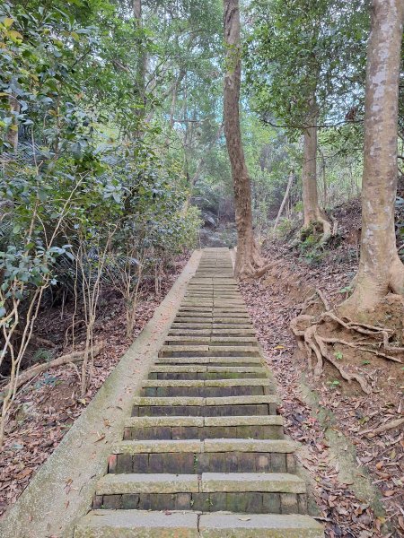 劍潭古道202503122734292