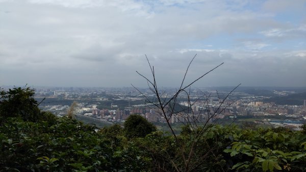 20230120_三峽_鳶山登山步道_五十分山2001599