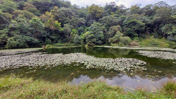 福山植物園1911576