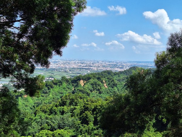 田中森林登山步道＋茶香步道＋赤水崎公園步道202508172862080