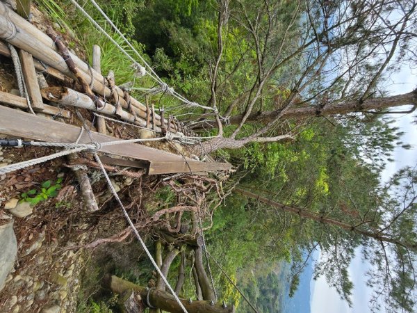 台中大坑4號登山步道2751105